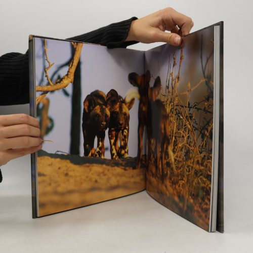 Adrian  Bailey: Dwellers in Eden - A Day in the African Wild (angol, fotóalbum, antikvár)