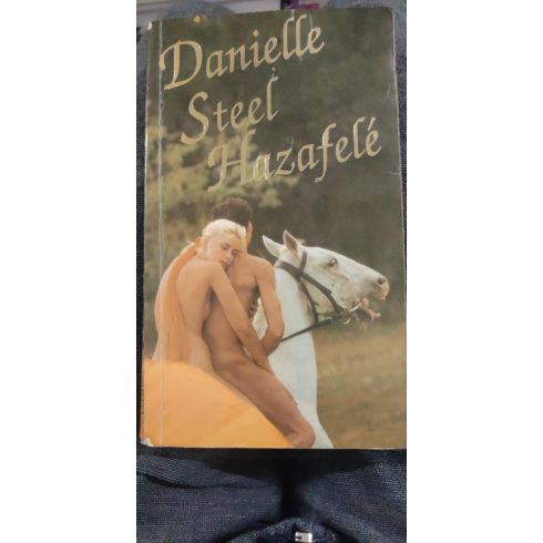 Danielle Steel: Hazafelé (antikvár)