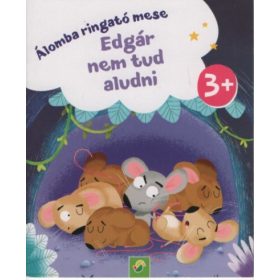 Edgár nem tud aludni - Minikönyv