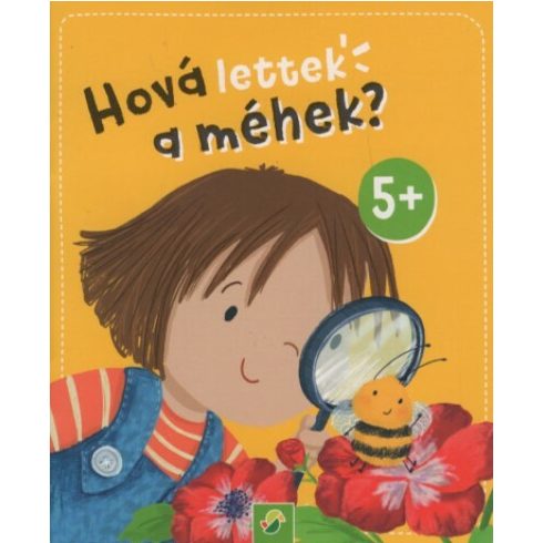 Hová lettek a méhek? - Minikönyv