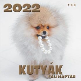Kutyák falinaptár 2022