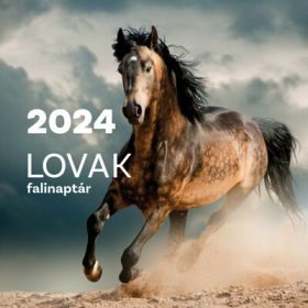 Naptár: Lovak falinaptár 2024