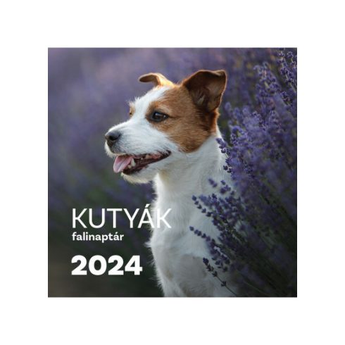 Naptár: Kutyák falinaptár 2024.