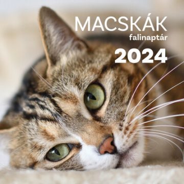 Naptár: Macskák falinaptár 2024
