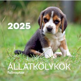 Naptár: Állatkölykök falinaptár 2025