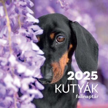 Naptár: Kutyák falinaptár 2025