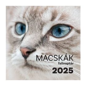 Naptár: Macskák falinaptár 2025