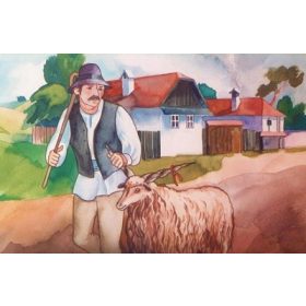 AZ OKOS KOS (diafilm)