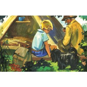 TÜSKEVÁR (diafilm)