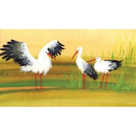 Diafilm: Kele /Diafilm