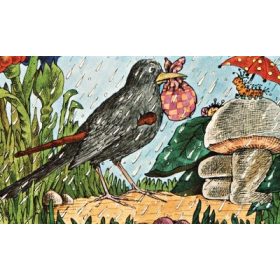 Diafilm: A nagyravágyó feketerigó /Diafilm