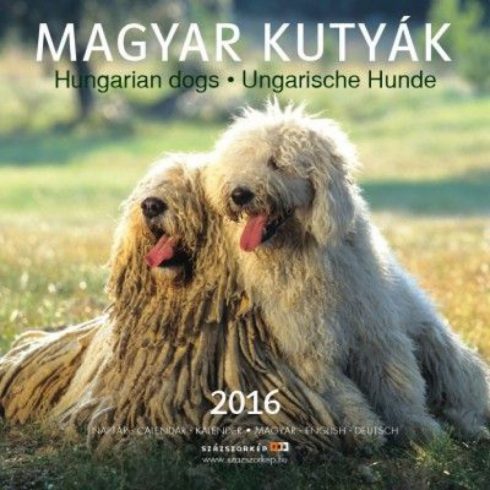 : Naptár Magyar Kutyák 2016 22x22 cm