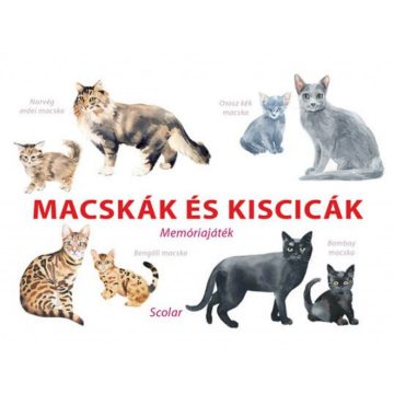 Macskák és kiscicák - Memóriajáték