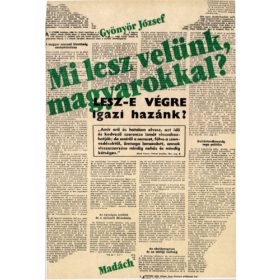 Gyönyör József: Mi lesz velünk, magyarokkal? (antikvár)
