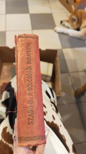 Szabó Dezső: A bölcsőtől Budapestig (antikvár)