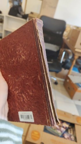 Fekete István: Gyeplő nélkül (antikvár)