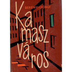 Berényi György:  Kamaszváros