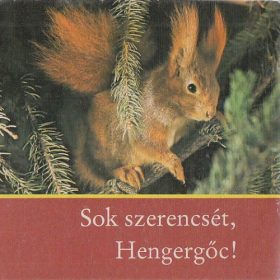 Helmut Massny: Sok szerencsét, Hengergőc! (antikvár)