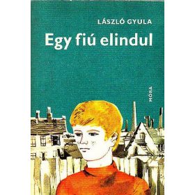 László Gyula: Egy fiú elindul (antikvár)