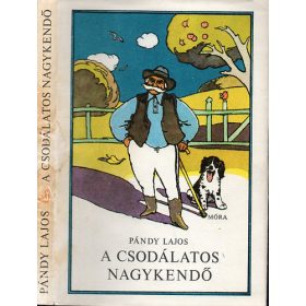 Pándy Lajos: A csodálatos nagykendő (antikvár)