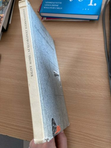 Bálint Ágnes: Az elvarázsolt egérkisasszony (antikvár)