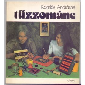 Komlós Andrásné: Tűzzománc (antikvár)