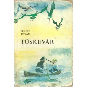 Fekete István: Tüskevár (antikvár)