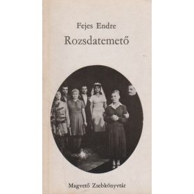 FEJES ENDRE: ROZSDATEMETŐ (antikvár)