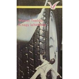 Werner Toelcke: A nagy lehetőség (antikvár)