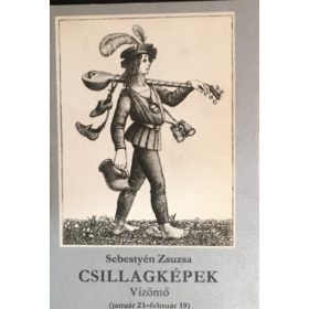 Sebestyén Zsuzsa Csillagképek - Vízöntő (antikvár)