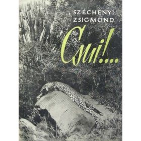 Széchenyi Zsigmond: Csui!…  (antikvár)