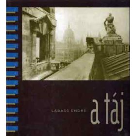 Lábass Endre: A táj (antikvár)