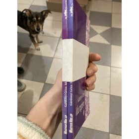 Gárdonyi Géza: Ida regénye (antikvár)