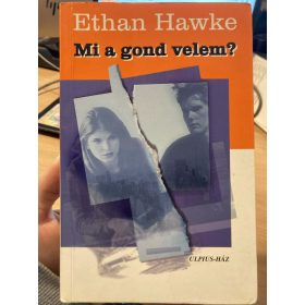 Ethan Hawke: Mi a gond velem? (antikvár)