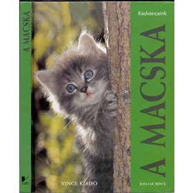 Jean-Luc Renck: A macska (antikvár)