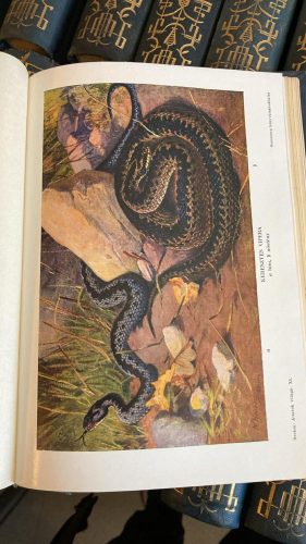 Brehm - Az állatok világa 1-18. (antikvár)