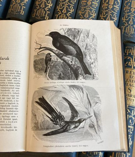 Brehm - Az állatok világa 1-18. (antikvár)