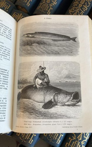 Brehm - Az állatok világa 1-18. (antikvár)