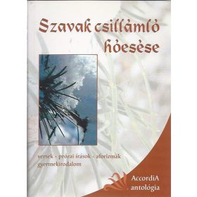    Bodrogi Huszár Katalin: Szavak csillámló hóesése (antikvár)