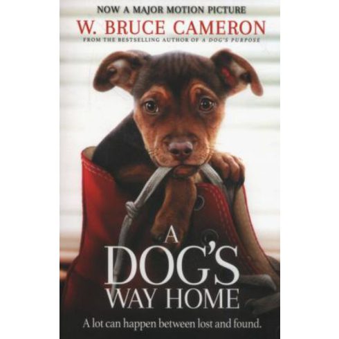 W. Bruce Cameron: A Dog's way home
