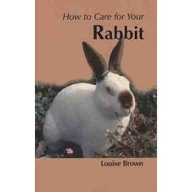 Louise Brown: How to Care for Your Rabbit (angol, antikvár)