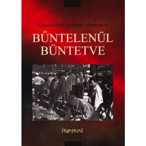 Kisadorjáni Szilágyi Domokos: Bűntelenül büntetve