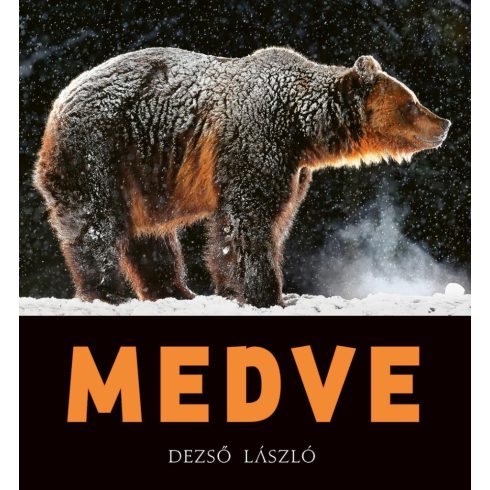 Dezső László: MEDVE