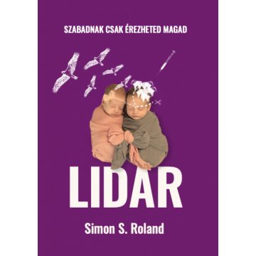 Simon S. Roland: LIDAR
