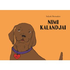 Sulyok Bernadett: Nimi kalandjai