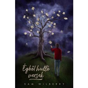 Sam Wilberry: Égből hulló versek