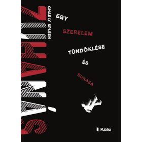 Charly Spleen: Zuhanás