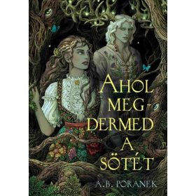 A. B. Poranek: Ahol megdermed a sötét