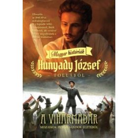 Hunyady József: A viharmadár - Magyar históriák