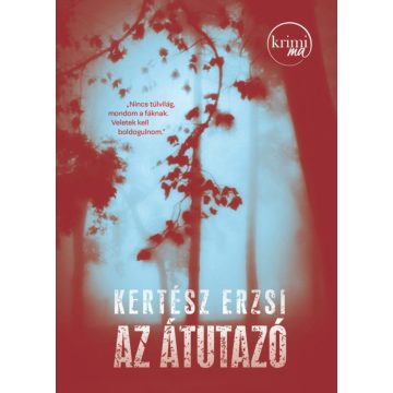 Kertész Erzsi: Az átutazó